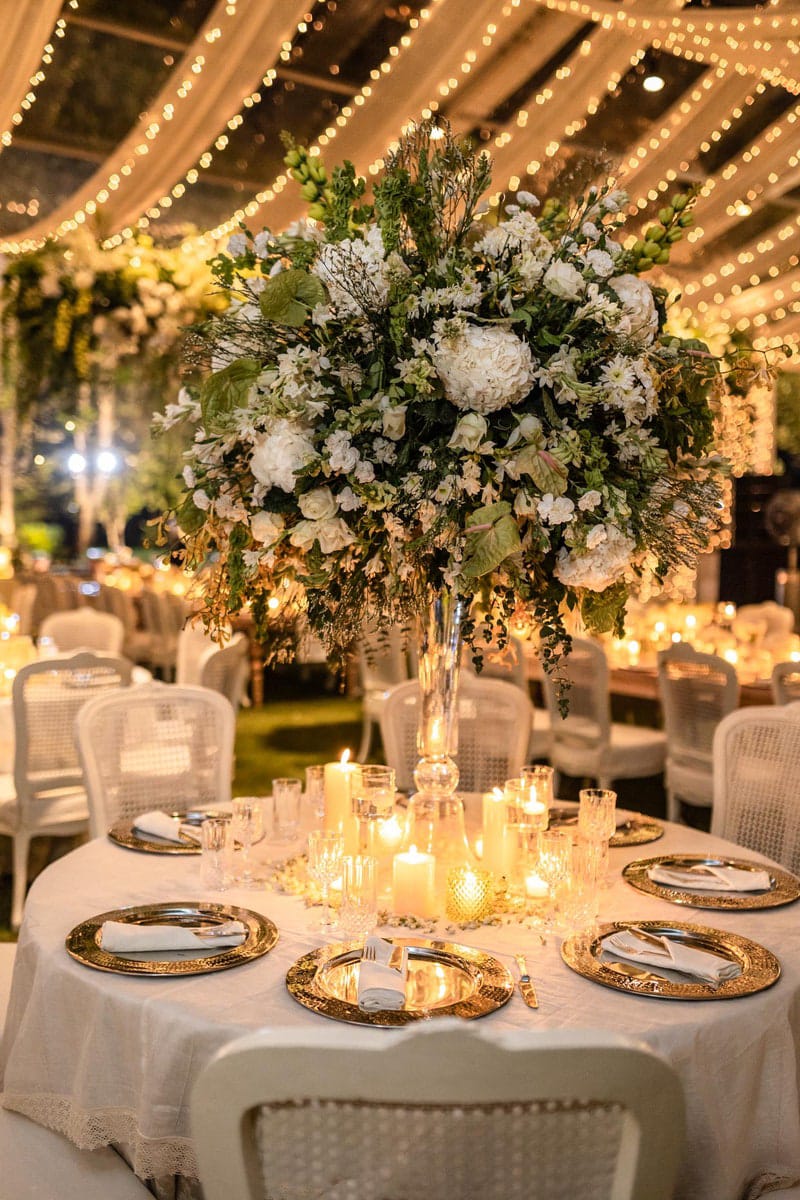 jahan and ananya's reception 4